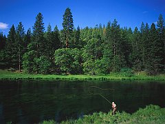 Trophy Trout Section, Hat Creek, California